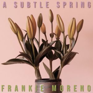A vase of closed lily buds and dark green leaves against a pink background, with text "A SUBTLE SPRING" and "FRANKIE MORENO".